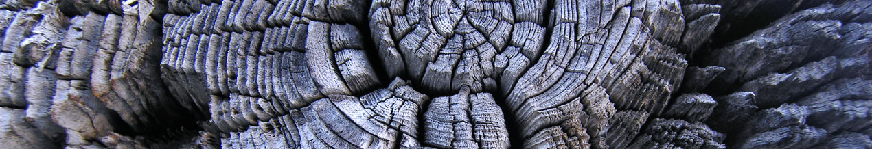 Philosophie von Holz