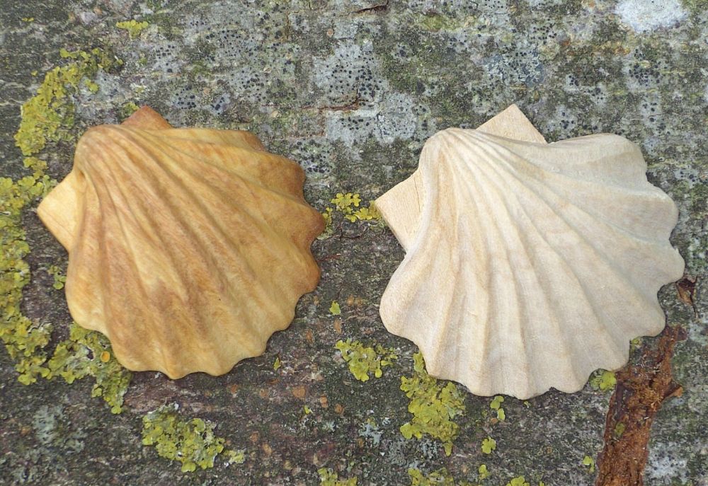 Muschel für den Jakobsweg