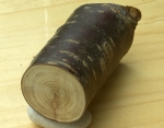 Mirabellenholz