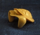 Shy Turtle