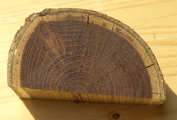 Zwetschgenholz