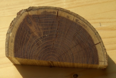Zwetschgenholz02